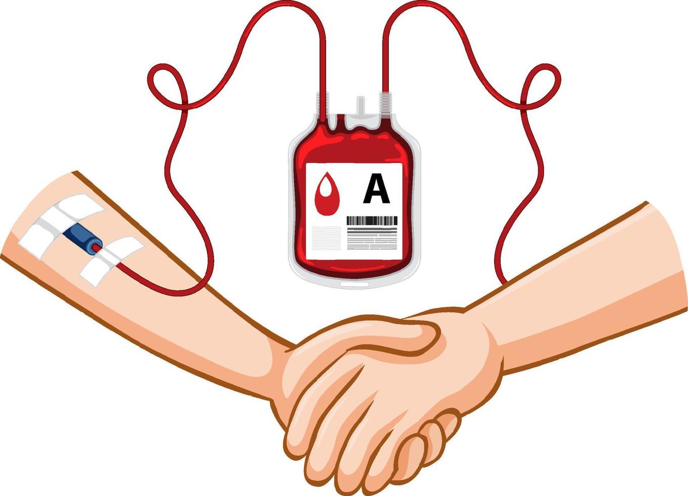 Blood Donation Process