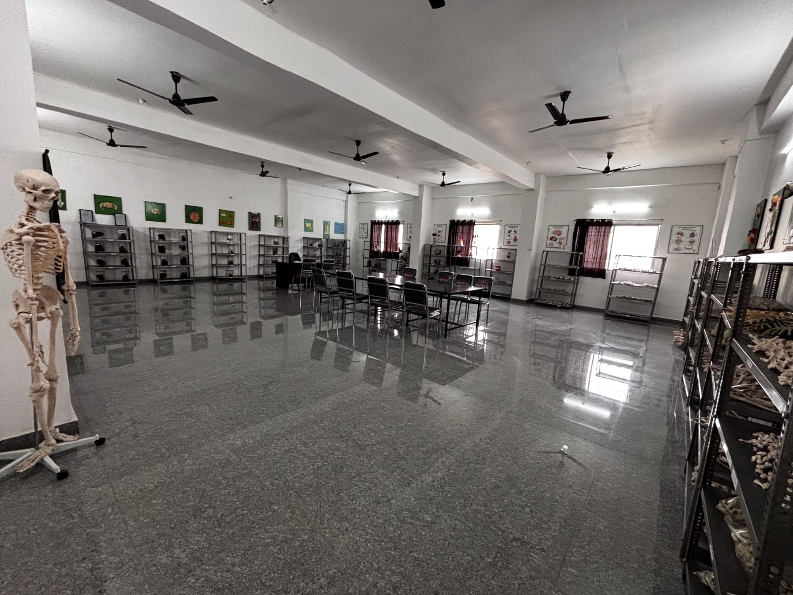 Anatomy Department